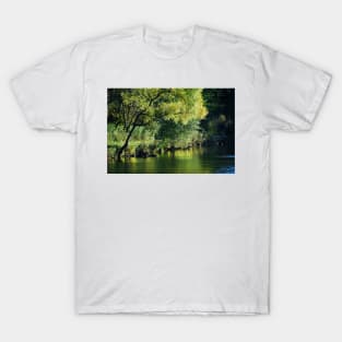 The Pond... T-Shirt